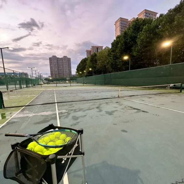 陈雨菲状态回升力争赛季突破